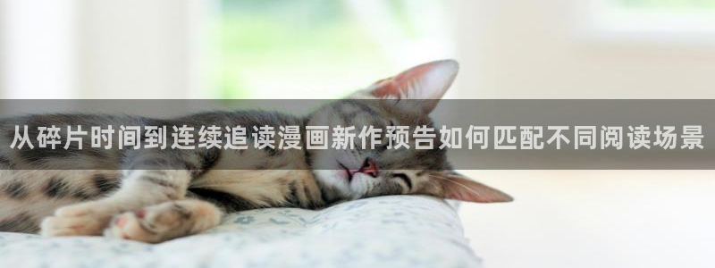 樱花日语新手入门:从碎片时间到连续追读漫画新作预告如何匹配不同阅读场景