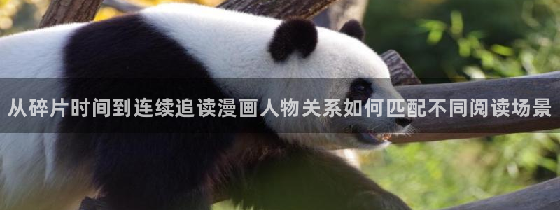 樱花日语入门教程:从碎片时间到连续追读漫画人物关系如何匹配不同阅读场景