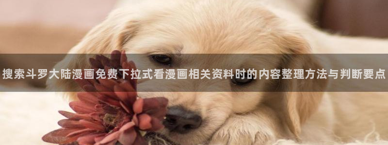 樱花日语培训班:搜索斗罗大陆漫画免费下拉式看漫画相关资料时的内容整理方法与判断要点