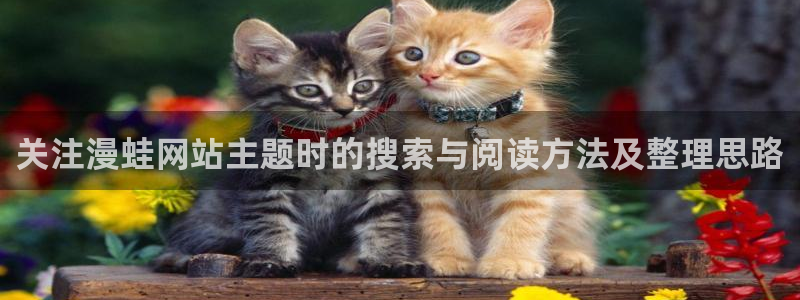 樱花日语考级资料:关注漫蛙网站主题时的搜索与阅读方法及整理思路